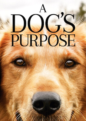 A Dog's Purpose